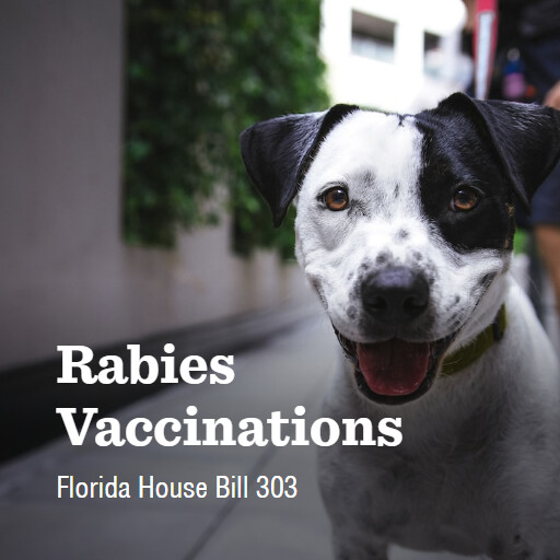 FL HB303 2024 Rabies Vaccinations (1)